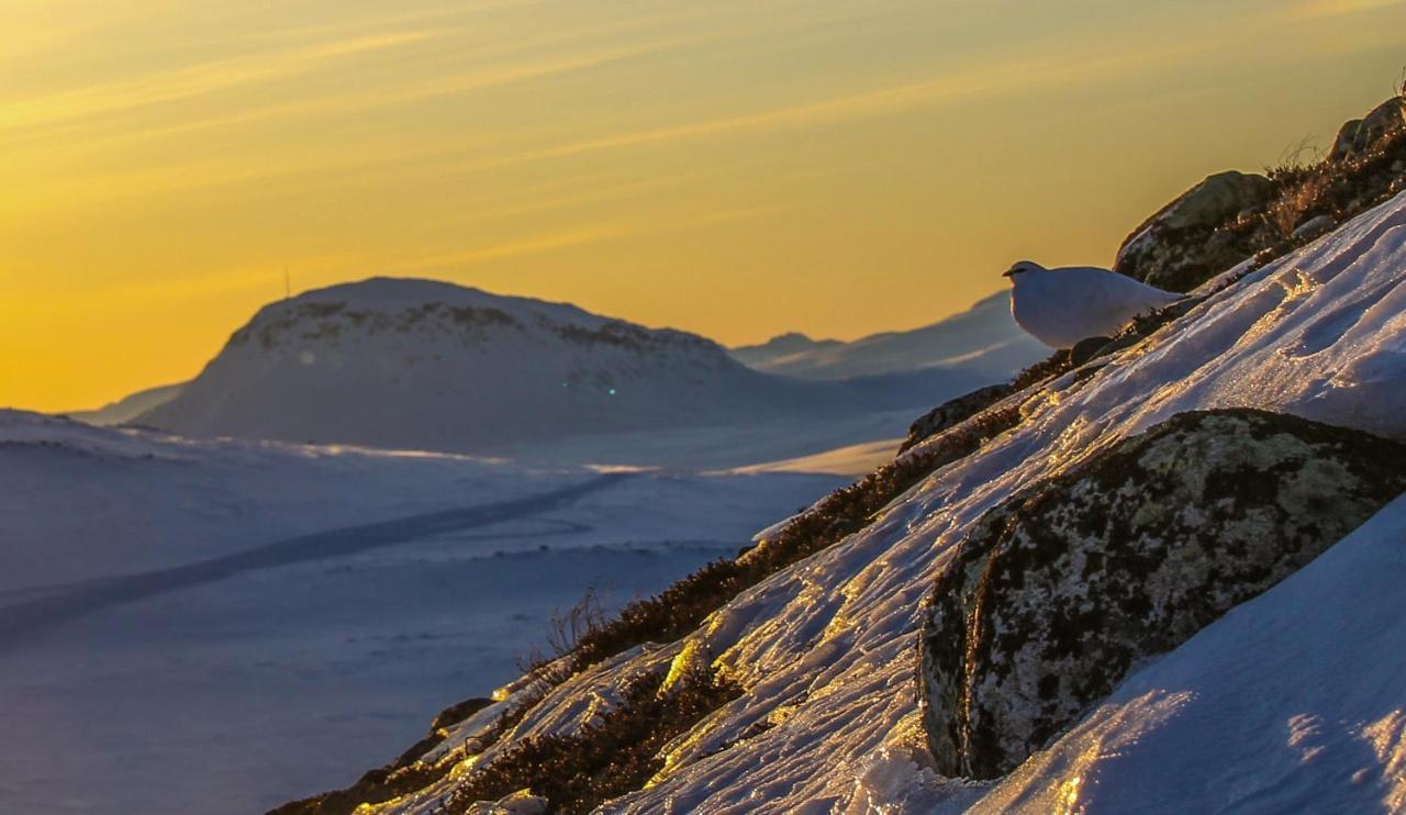 Ahma Moekki Apartment Kilpisjärvi Екстериор снимка